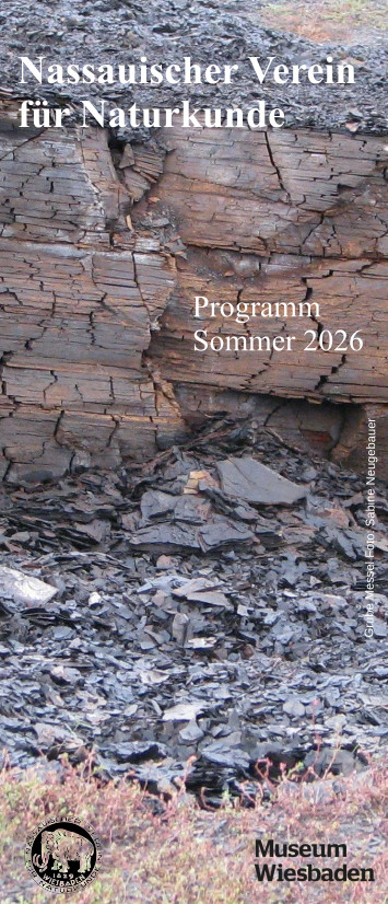 Titelblatt des Programms Sommer 2026