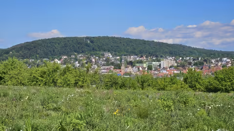 Landschaftsfoto mit dem Kapellenberg bei Hofheim/Ts.