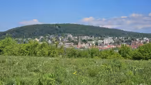 Landschaftsfoto mit dem Kapellenberg bei Hofheim/Ts.