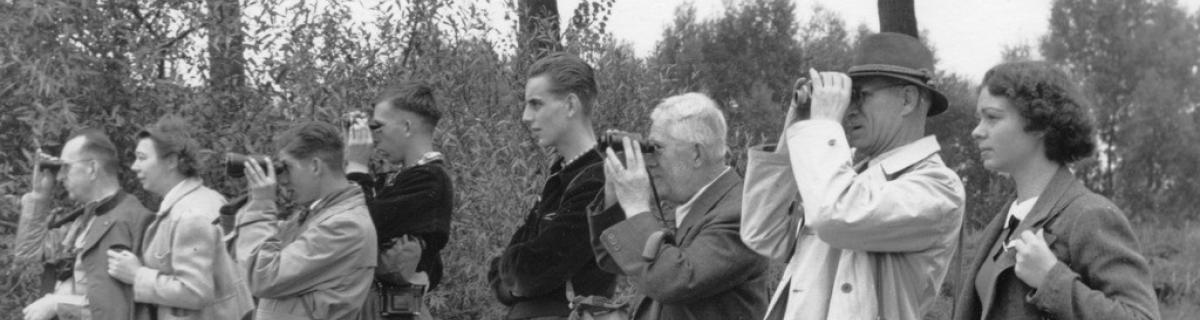 Historisches Foto: Beobachtung eines Fischadlers